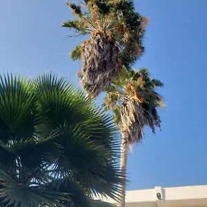 https://sea-shell-palms.hotelsochorios.net